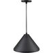R Series 1 Light 13 inch Satin Black Outdoor Pendant
